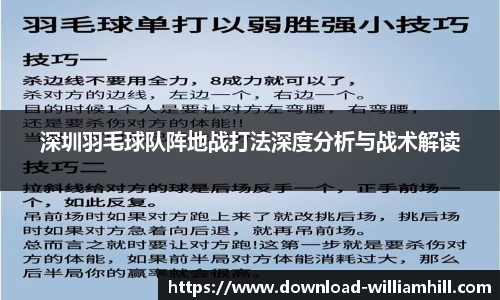 深圳羽毛球队阵地战打法深度分析与战术解读